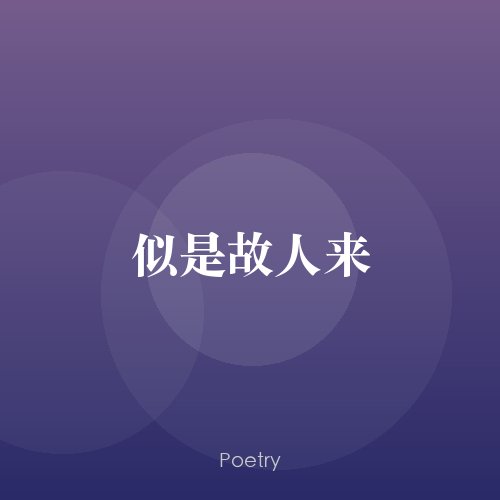 似是故人来