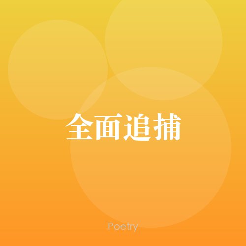 全面追捕