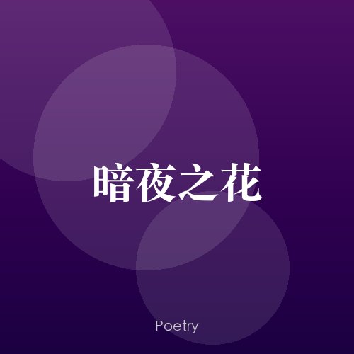 暗夜之花