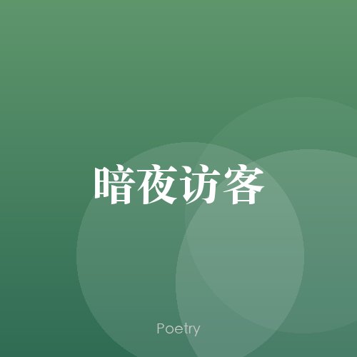 暗夜访客