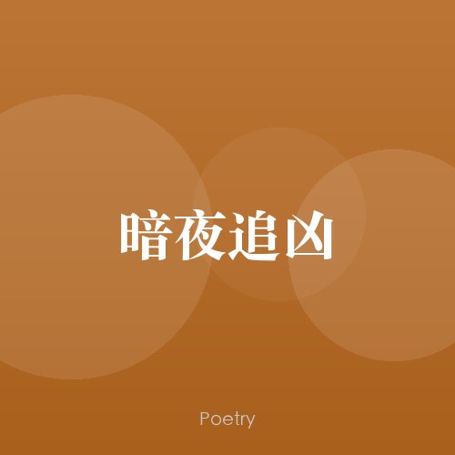 暗夜追凶