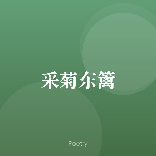 采菊东篱