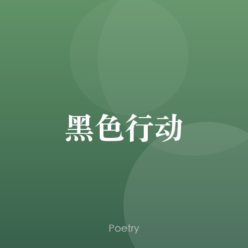 黑色行动